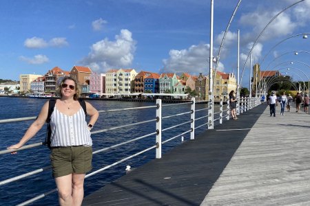 De pontjesbrug en handelskade